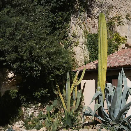 Hort De Fortunyo Arnés