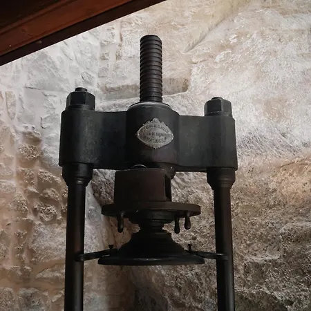 Hort De Fortunyo Arnés