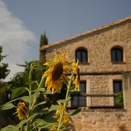 Hort De Fortunyo Hotel Arnes